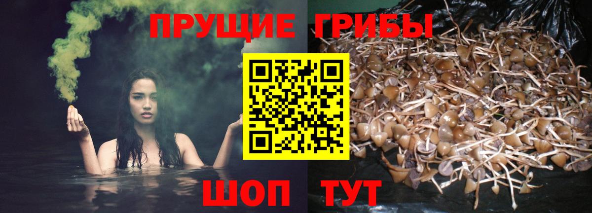 Псилоцибиновые грибы прущие грибы  Вход с VPN  Феодосия 